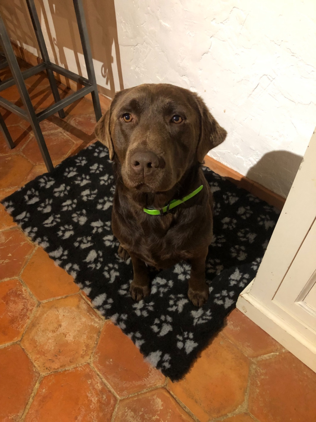 Ttucker Tao Titre Initial