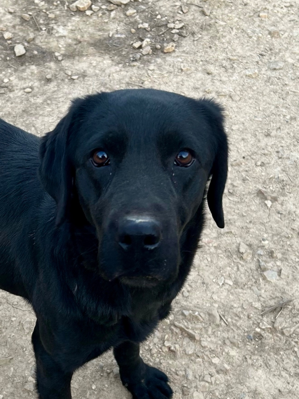 Uma thurman Des Méandres De La Rouvre